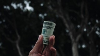 hand holding roll of 20 dollar bills up against background of trees