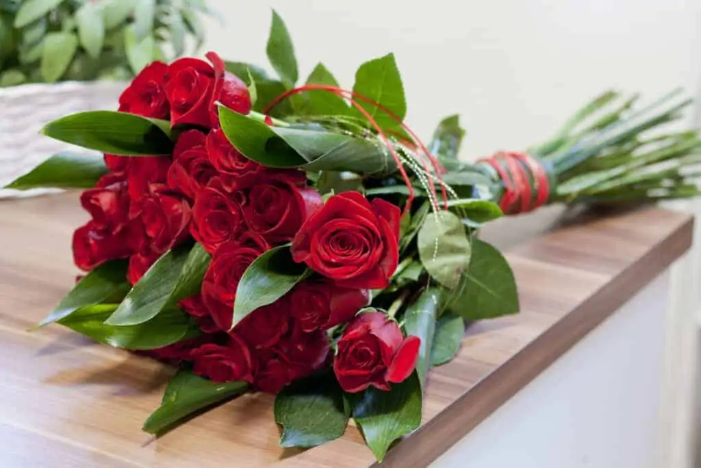 Red Roses Perfect Valentine's Day Gift